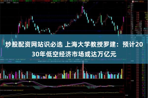 炒股配资网站识必选 上海大学教授罗建：预计2030年低空经济市场或达万亿元